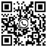 +8613631798281